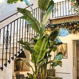 Casa Levante Arcos de la Frontera